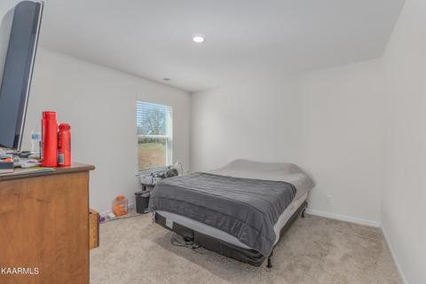 170 Claire Pl, Talbott, TN 37877 photo 27