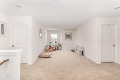 170 Claire Pl, Talbott, TN 37877 photo 19