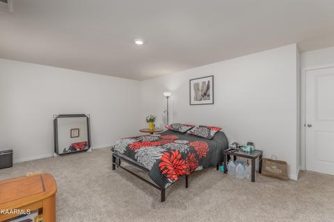 170 Claire Pl, Talbott, TN 37877 photo 21