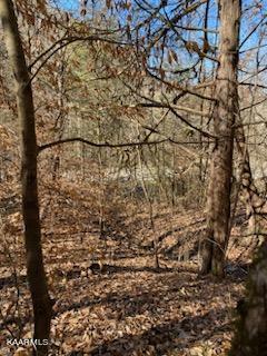Walker Ford Rd, Maynardville, TN 37807