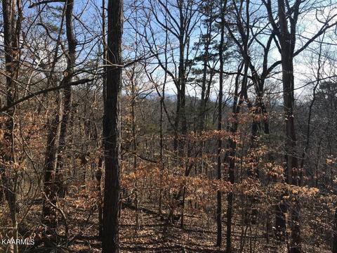 Lot 838 Iron Gate Drive, Baneberry, TN 37890