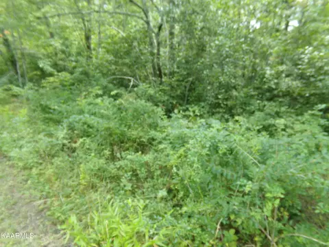 2000 Okmulgee Ln, Crossville, TN 38572
