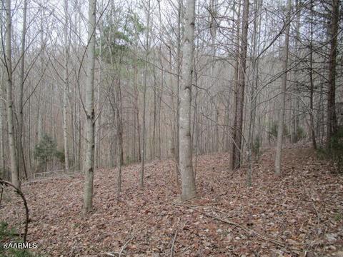 Deerridge Drive, Rutledge, TN 37861 photo 4