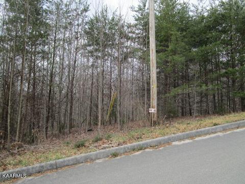 Deerridge Drive, Rutledge, TN 37861 photo 2