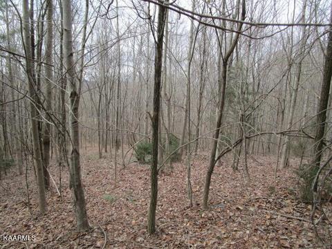 Deerridge Drive, Rutledge, TN 37861 photo 3