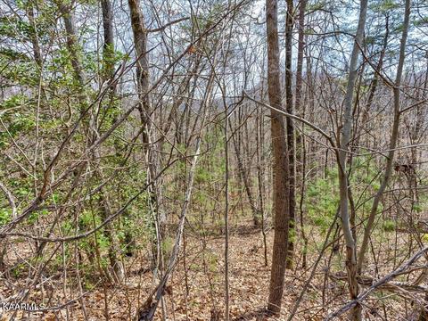 Lots 78-79 Bear Track Way, Del Rio, TN 37727
