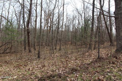 12 Grenta Ct, Fairfield Glade, TN 38558