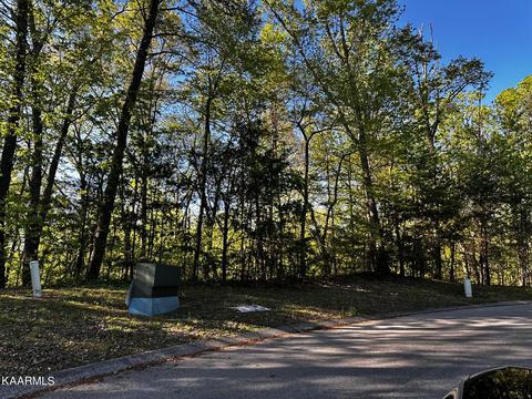 Lot 181 High St, Kingston, TN 37763