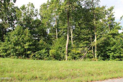Lot 46 Old Hearth, La Follette, TN 37766