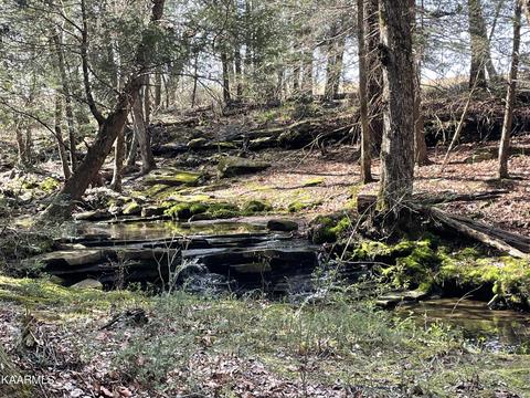 520 Foster Rd, Clarkrange, TN 38553 photo 19