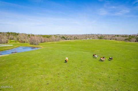 520 Foster Rd, Clarkrange, TN 38553 photo 43