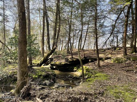 520 Foster Rd, Clarkrange, TN 38553 photo 20