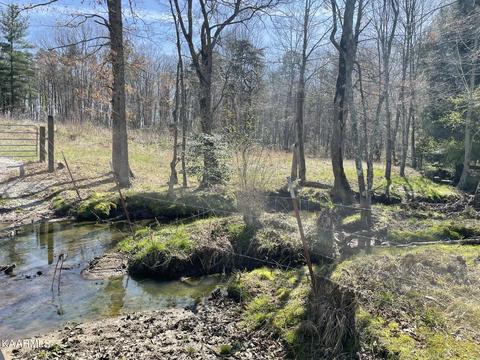 520 Foster Rd, Clarkrange, TN 38553 photo 21
