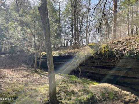 520 Foster Rd, Clarkrange, TN 38553 photo 17