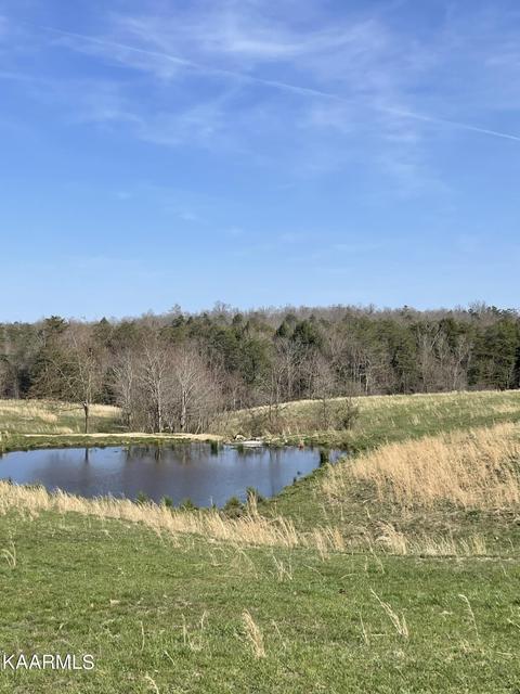 520 Foster Rd, Clarkrange, TN 38553 photo 13