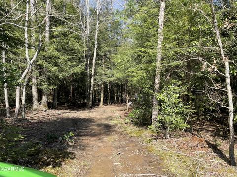 520 Foster Rd, Clarkrange, TN 38553 photo 15