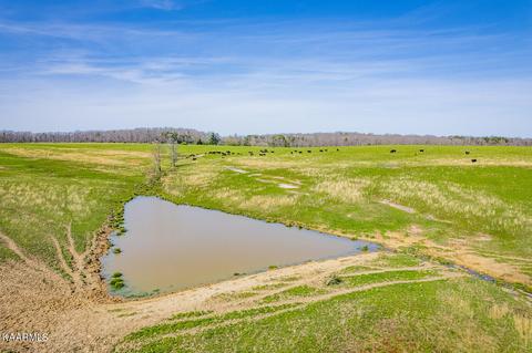 520 Foster Rd, Clarkrange, TN 38553 photo 35