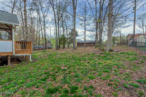 7944 Whitcomb Rd, Powell, TN 37849 photo 32