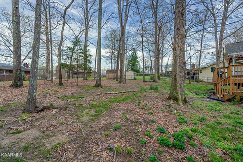 7944 Whitcomb Rd, Powell, TN 37849 photo 31