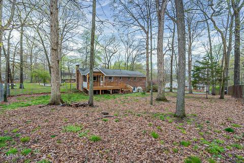 7944 Whitcomb Rd, Powell, TN 37849 photo 30