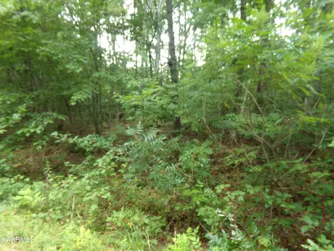 2121 Blackwolf Dr, Crossville, TN 38572