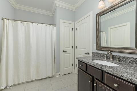 8536 River Birch Loop, Ooltewah, TN 37363 photo 11