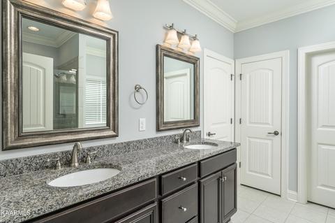 8536 River Birch Loop, Ooltewah, TN 37363 photo 8