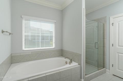 8536 River Birch Loop, Ooltewah, TN 37363 photo 9