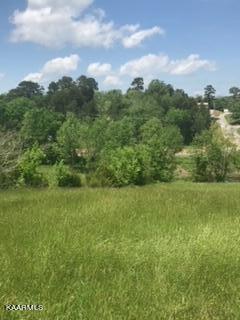 14 Ailey Road, Dandridge, TN 37725