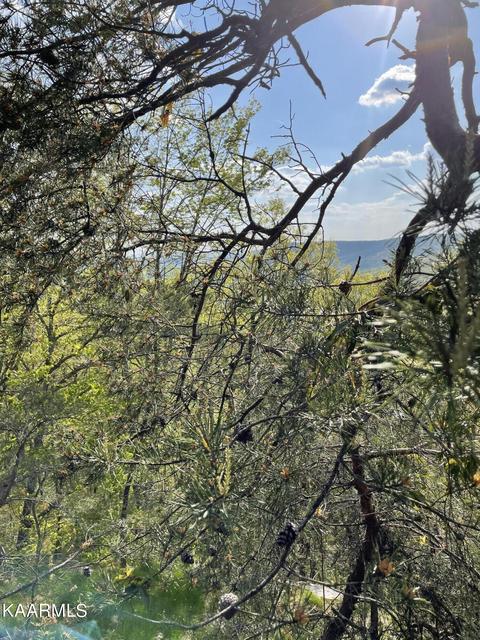 E Overlook Rd, Monterey, TN 38574