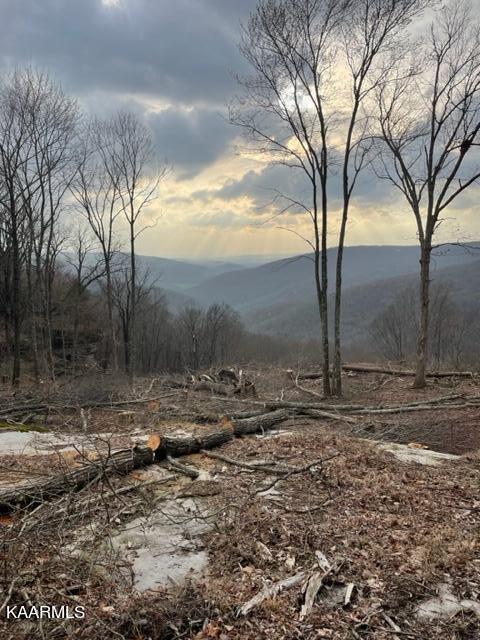 E Overlook Rd, Monterey, TN 38574