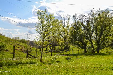 325 Blanche Dr, Ewing, VA 24248 photo 8