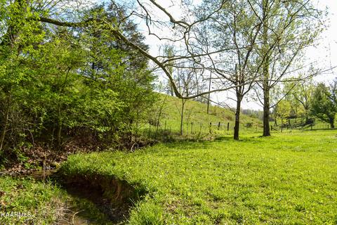 325 Blanche Dr, Ewing, VA 24248 photo 7