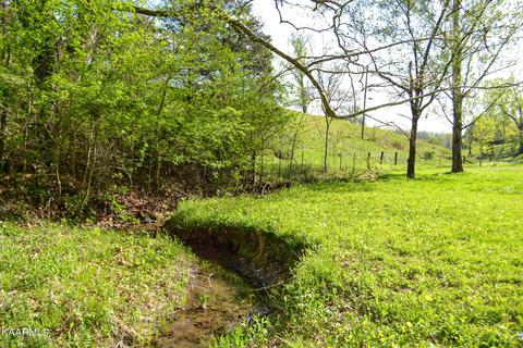 325 Blanche Dr, Ewing, VA 24248 photo 6