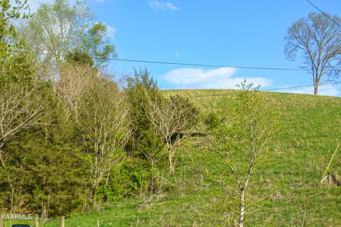 325 Blanche Dr, Ewing, VA 24248 photo 13
