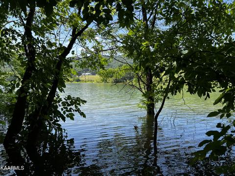 1650 Rocky Springs Rd, Bean Station, TN 37708