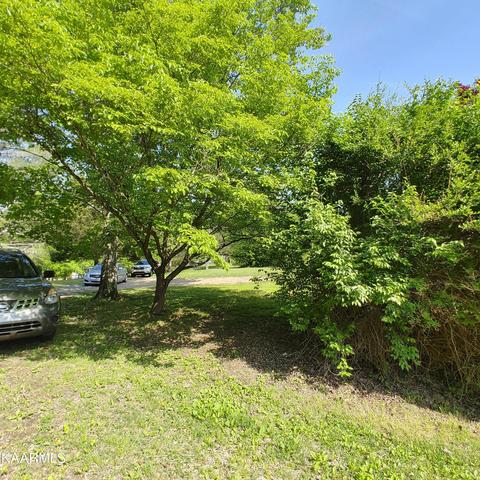 9900 Heiskell Rd, Heiskell, TN 37754 photo 17