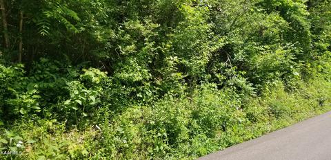 932 Mccubbins Rd, Strawberry Plains, TN 37871