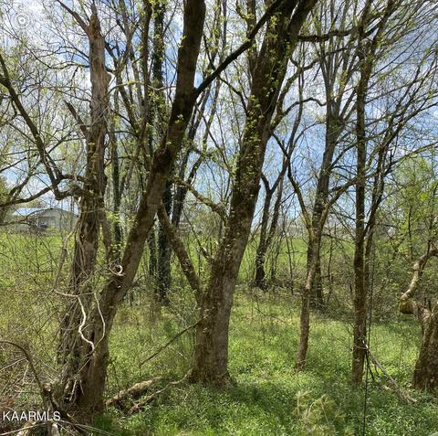 tbd Vista View Dr, Ewing, VA 24248