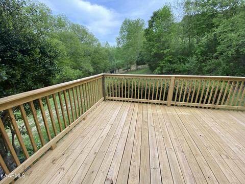 626 Frog Level Rd, Ewing, VA 24248 photo 7