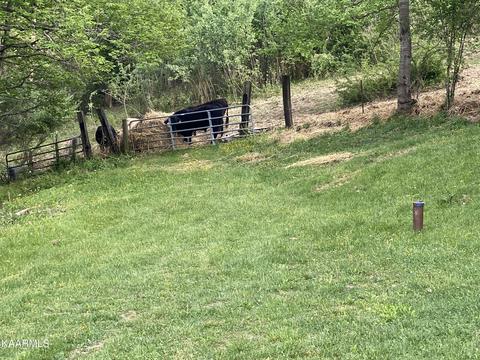 626 Frog Level Rd, Ewing, VA 24248 photo 6