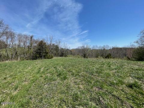 1902 Willow Tree Rd, Ewing, VA 24248 photo 21