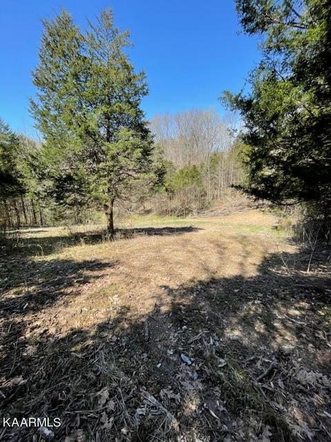 1902 Willow Tree Rd, Ewing, VA 24248 photo 9