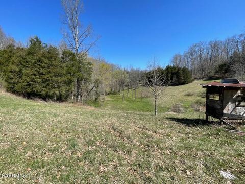 1902 Willow Tree Rd, Ewing, VA 24248 photo 13