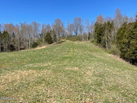 1902 Willow Tree Rd, Ewing, VA 24248 photo 25