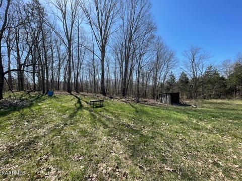 1902 Willow Tree Rd, Ewing, VA 24248 photo 5