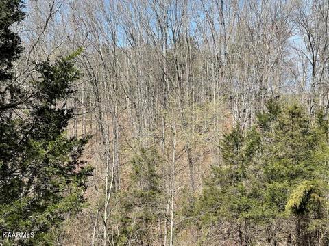1902 Willow Tree Rd, Ewing, VA 24248 photo 16
