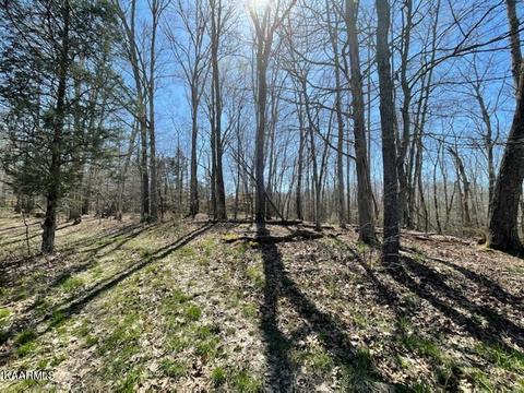 1902 Willow Tree Rd, Ewing, VA 24248 photo 6