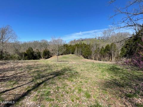 1902 Willow Tree Rd, Ewing, VA 24248 photo 18