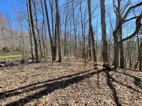 1902 Willow Tree Rd, Ewing, VA 24248 photo 8